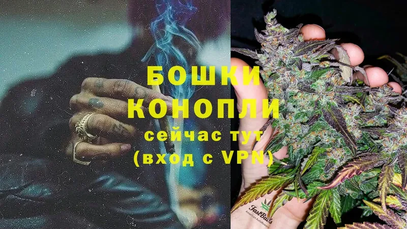 купить  цена  Курганинск  Бошки марихуана LSD WEED 